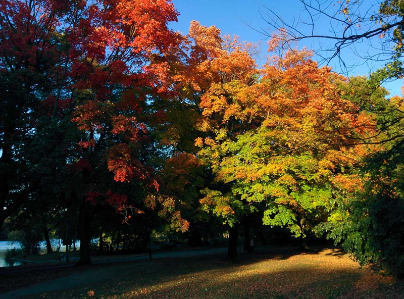 Illustration for article titled 48 Photos Of Autumn Around The World